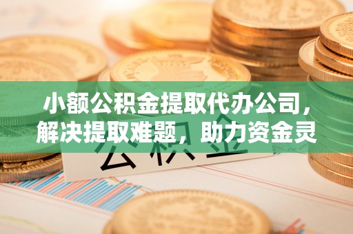 康乐小额公积金提取代办公司，解决提取难题，助力资金灵活使用