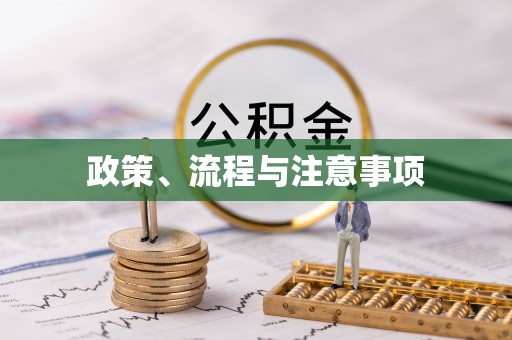 西夏政策、流程与注意事项