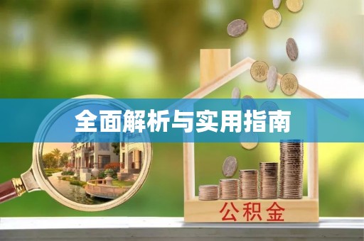 西夏全面解析与实用指南