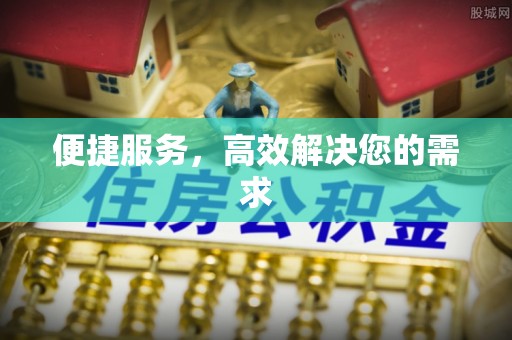 凤凰便捷服务，高效解决您的需求