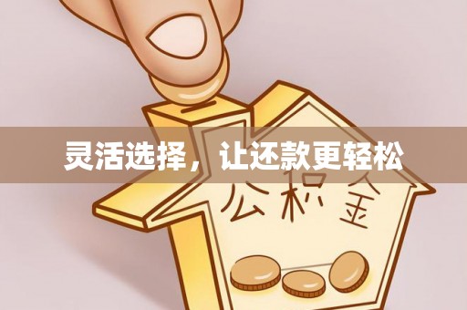 拜城灵活选择，让还款更轻松