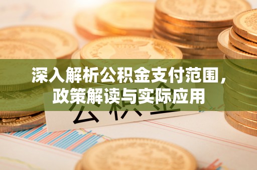 盘龙深入解析公积金支付范围，政策解读与实际应用