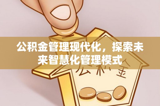红星公积金管理现代化，探索未来智慧化管理模式