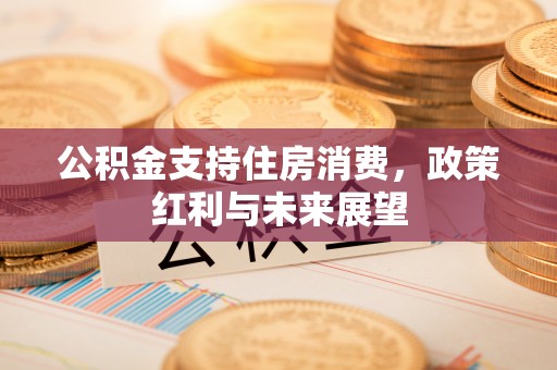 瑞安公积金支持住房消费，政策红利与未来展望
