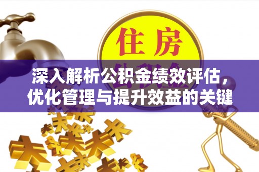 嘉义深入解析公积金绩效评估，优化管理与提升效益的关键路径