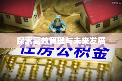 石城探索高效管理与未来发展