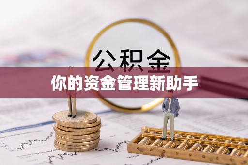 中国台湾你的资金管理新助手
