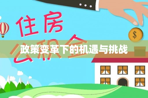 惠济政策变革下的机遇与挑战