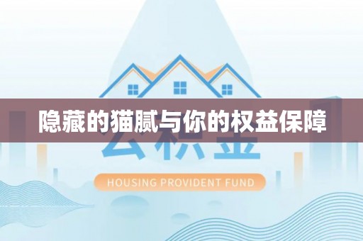 清水隐藏的猫腻与你的权益保障