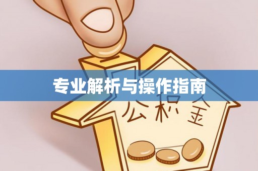 临漳专业解析与操作指南