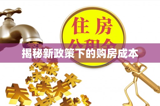 大埔揭秘新政策下的购房成本
