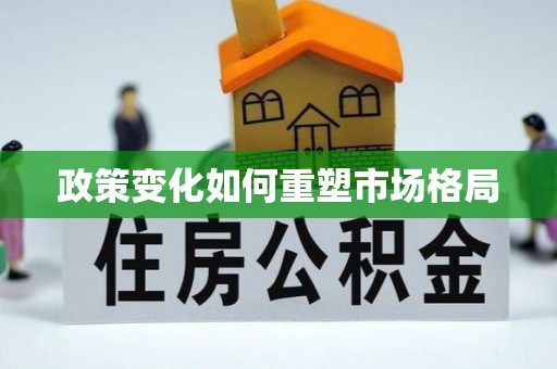 大埔政策变化如何重塑市场格局