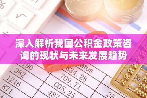 麒麟深入解析我国公积金政策咨询的现状与未来发展趋势