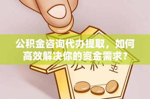 埔盐公积金咨询代办提取，如何高效解决你的资金需求？