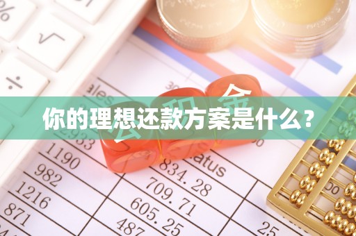 沙河你的理想还款方案是什么？