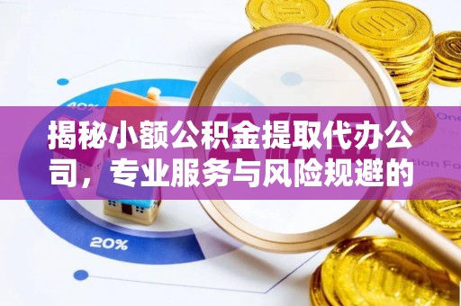三民揭秘小额公积金提取代办公司，专业服务与风险规避的平衡艺术