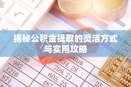 赤城揭秘公积金提取的灵活方式与实用攻略