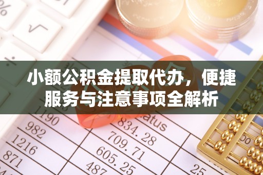 明水小额公积金提取代办，便捷服务与注意事项全解析
