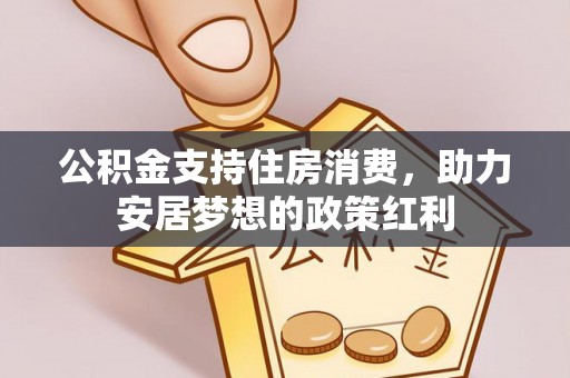 卑南公积金支持住房消费，助力安居梦想的政策红利