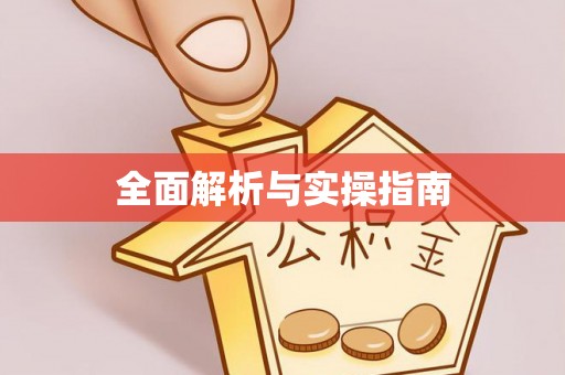 卑南全面解析与实操指南
