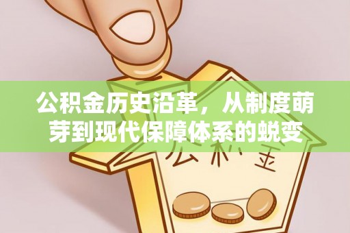 建水公积金历史沿革，从制度萌芽到现代保障体系的蜕变
