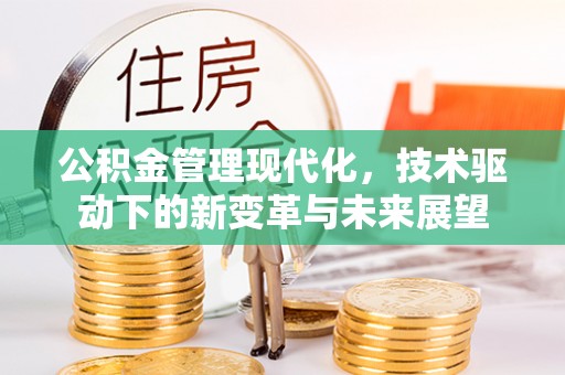 支付公积金管理现代化，技术驱动下的新变革与未来展望