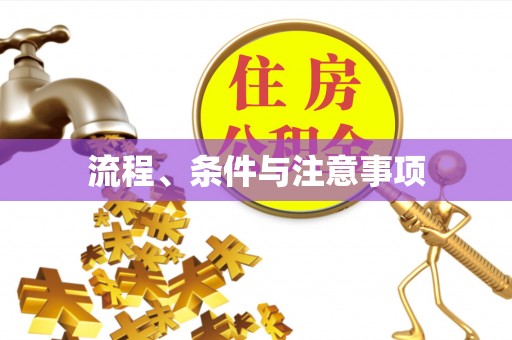 安图流程、条件与注意事项